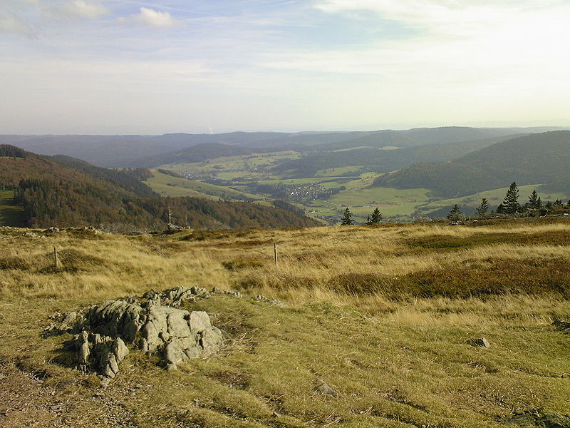 Herzogenhorn, Blick nach Süden mit dem Tal von Bernau